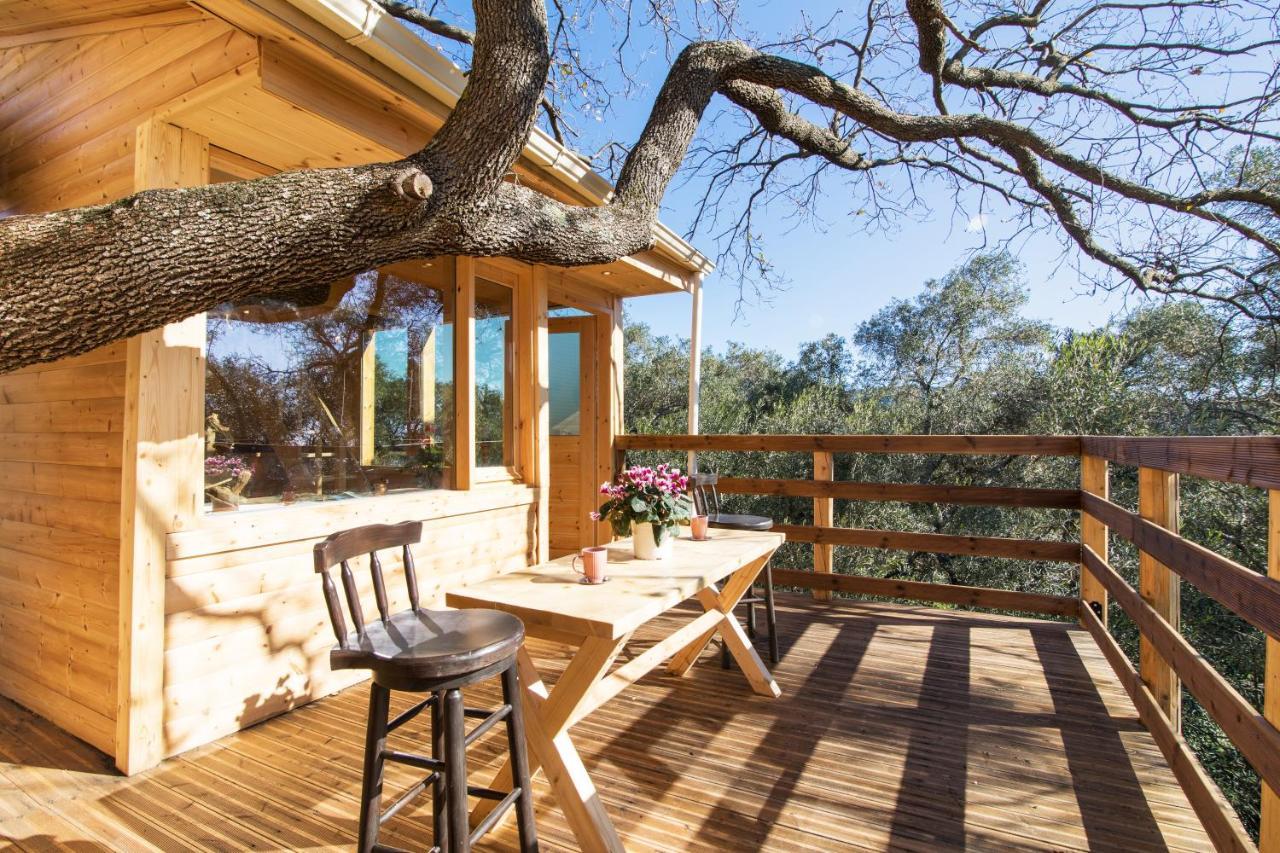 Romantic Tree House Kato Pavliana Esterno foto