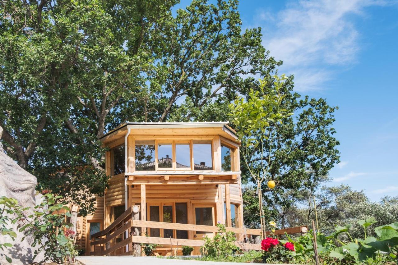 Romantic Tree House Kato Pavliana Esterno foto