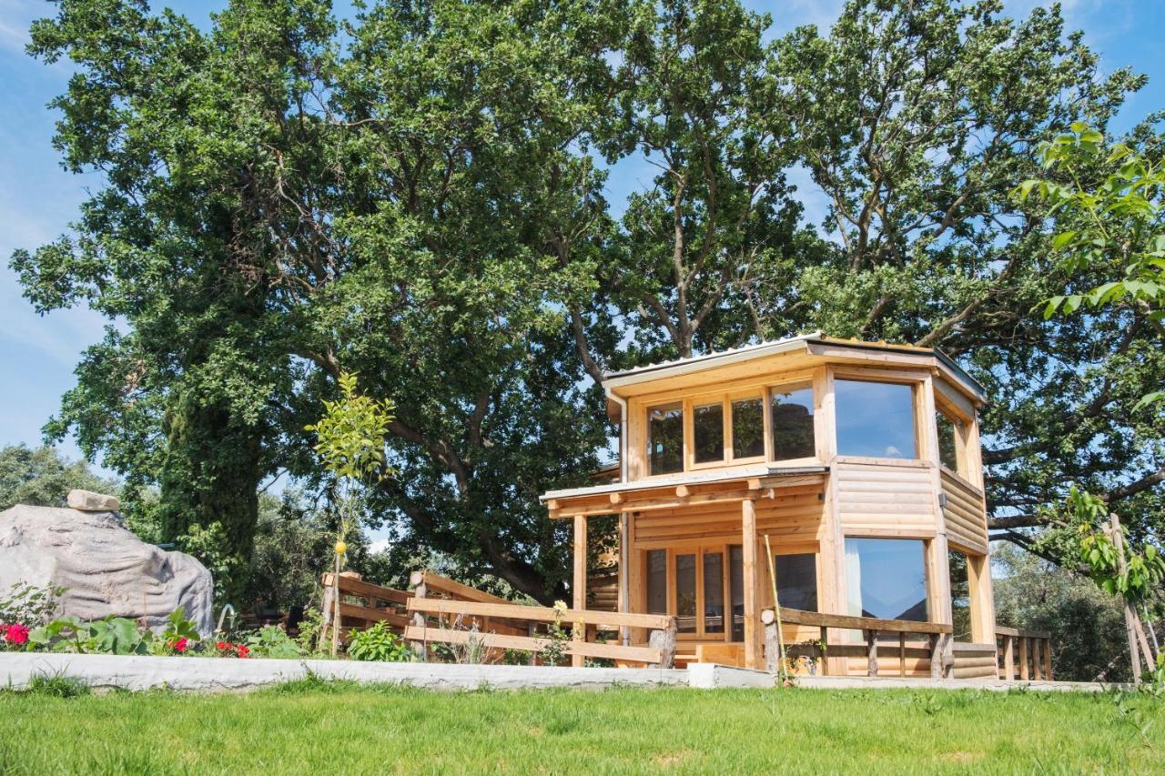 Romantic Tree House Kato Pavliana Esterno foto